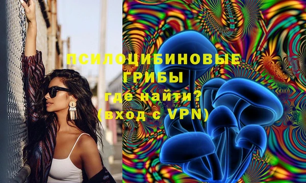 молекула духа Алексин