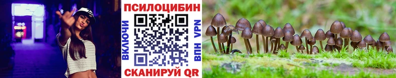Псилоцибиновые грибы Cubensis  Любим 